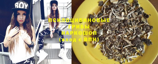 spice Аркадак