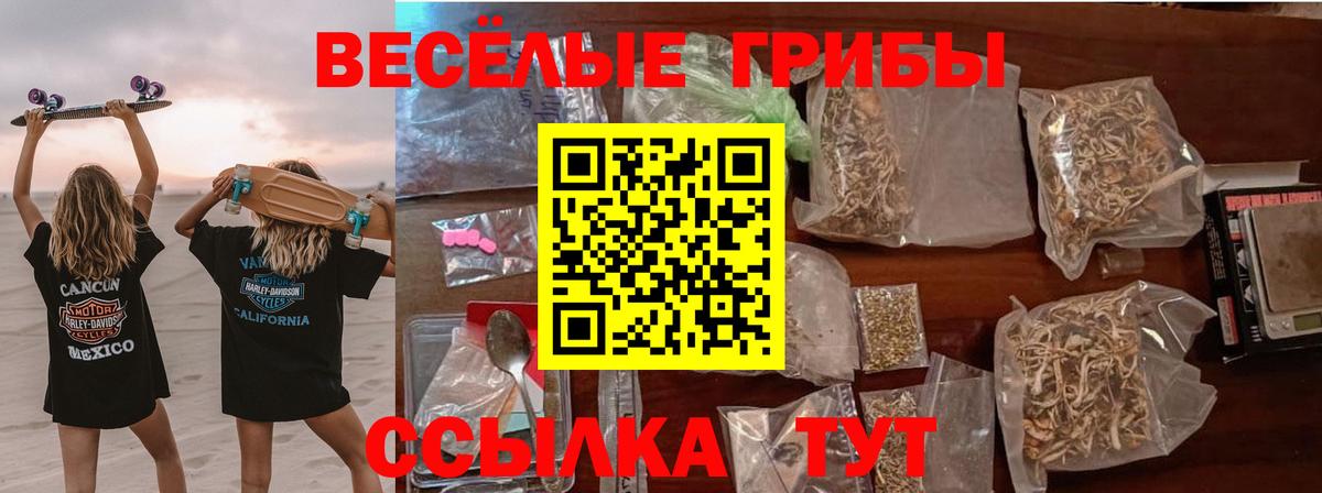 Галлюциногенные грибы MAGIC MUSHROOMS Волгоград