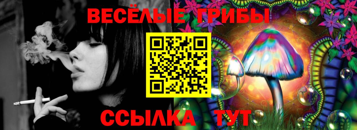 купить закладку  Вход с VPN  Галлюциногенные грибы Cubensis  Волгоград  Псилоцибиновые грибы GOLDEN TEACHER 